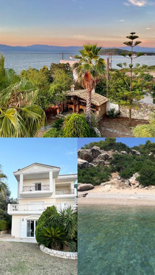 Villa Sul Mare Chalkís Exteriér fotografie